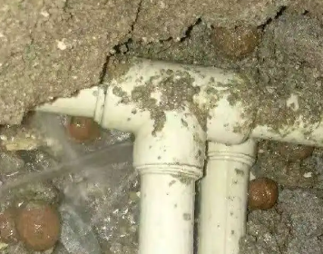 定陶测漏水多少钱