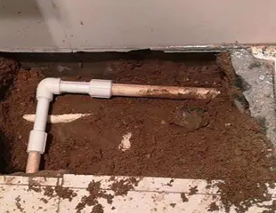 定陶测漏水哪家好