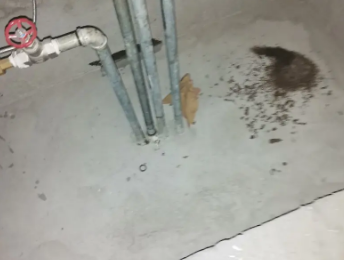 定陶卫生间测漏水价格明细