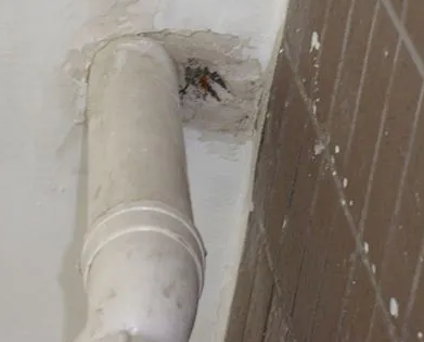 定陶漏水检测哪家好